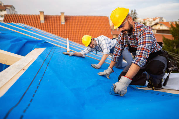 Steel Roofing in Taylor, TX